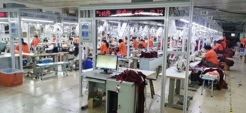 客服火線入職備戰天貓雙11，流水線24小時趕工，不夜廠點亮江蘇咨詢策劃服務